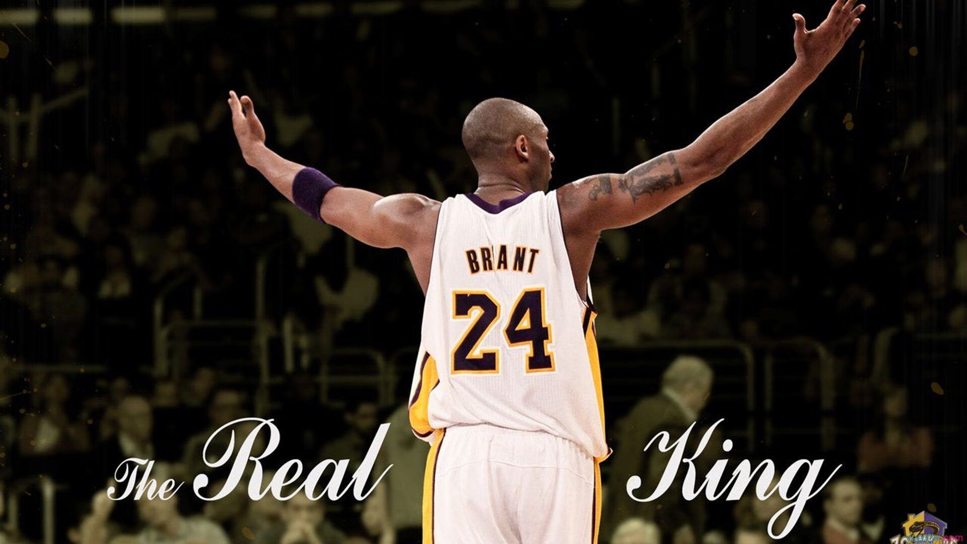 划频偏快是否削弱后程冲刺？，划幅和划频