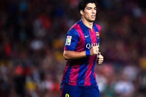 极限攀岩运动赛事报道，极限攀岩纪录片男主角