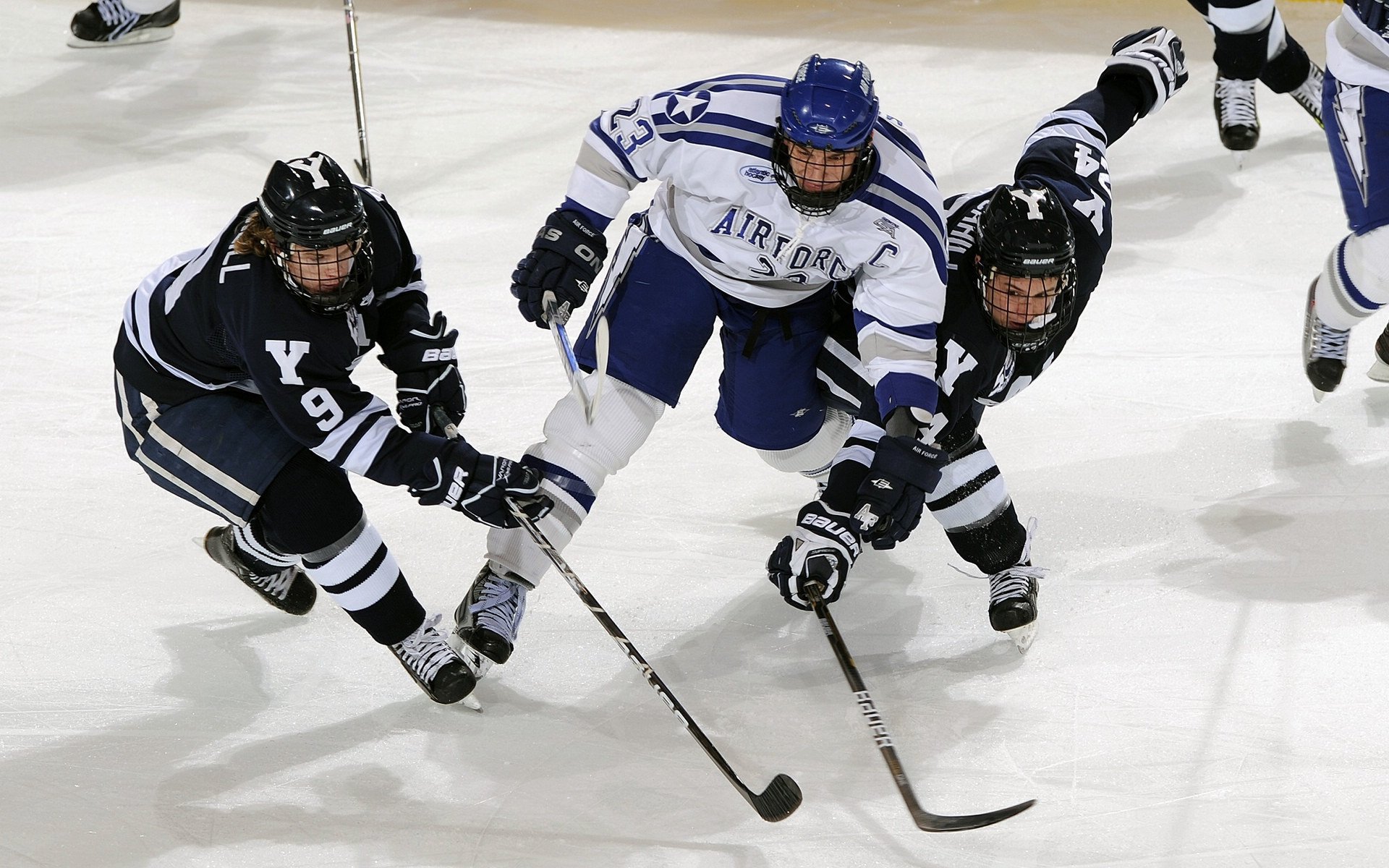 丹·卡特的伟大贡献：全黑队成功背后的不朽功臣，丹特nba