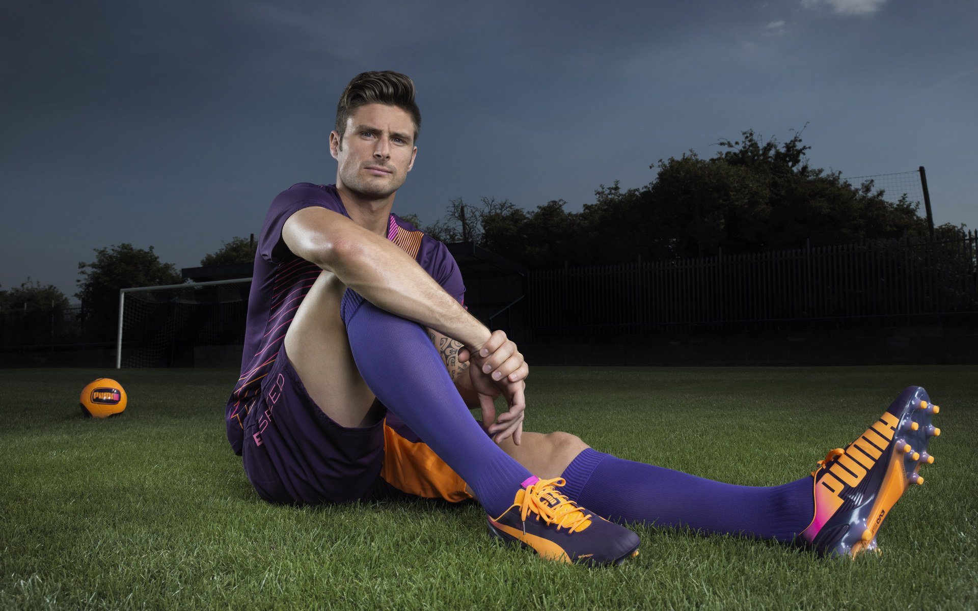 体育公益活动积极开展，体育公益组织