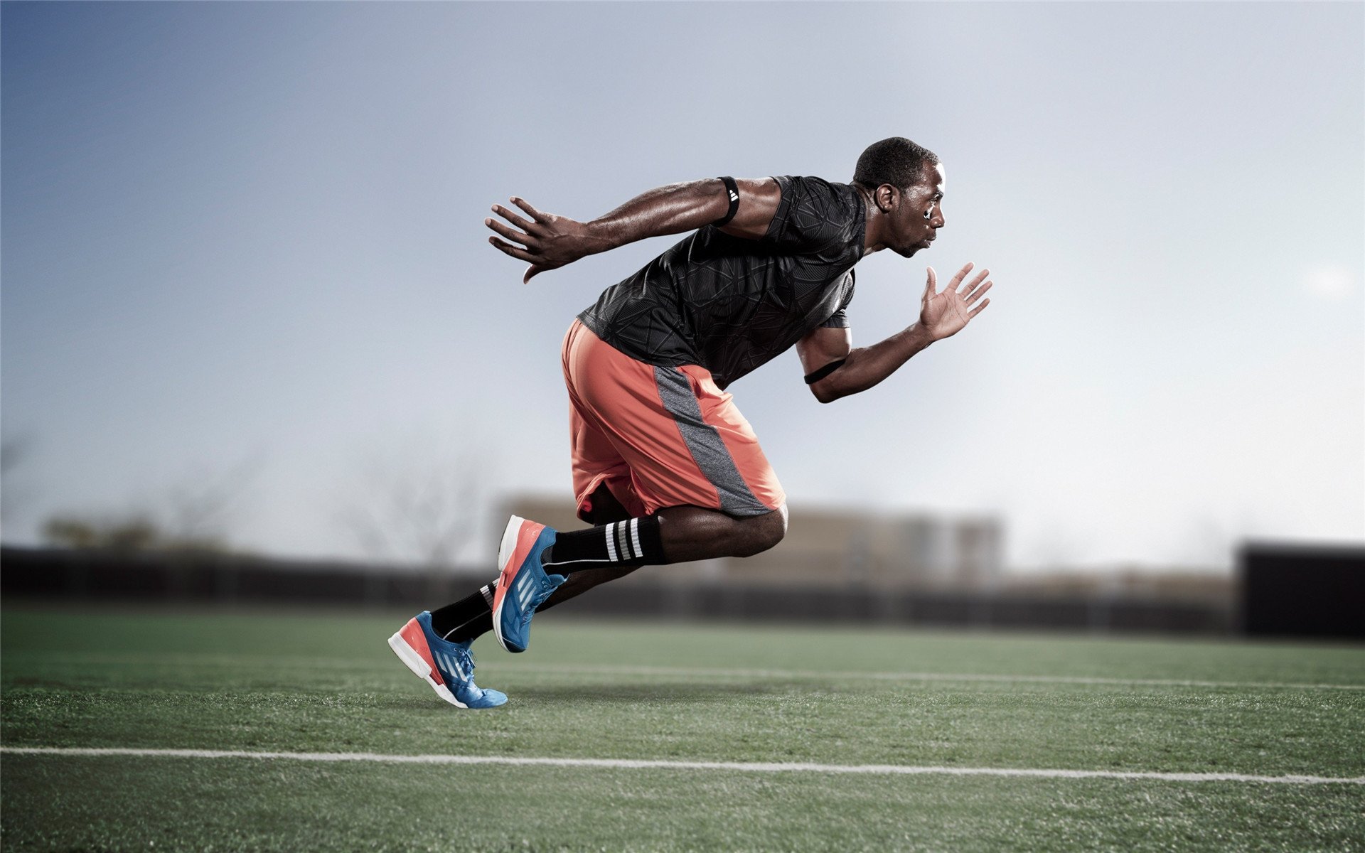 南非橄榄球吸引大量投资，商业化前景看好，南非橄榄球种族歧视现象